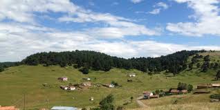 Düzce Sallar Köyü Resimleri 4