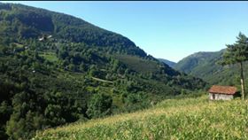 Düzce Samandere Köyü Resimleri 1