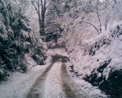 Düzce Samandere Köyü Resimleri 10