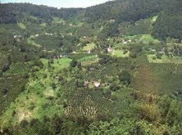 Düzce Samandere Köyü Resimleri 13