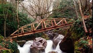 Düzce Samandere Köyü Resimleri 14