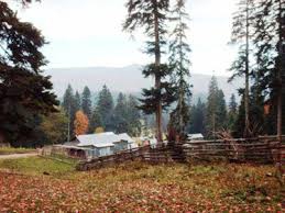 Düzce Samandere Köyü Resimleri 15