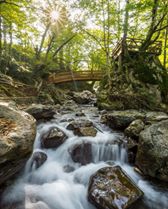 Düzce Samandere Köyü Resimleri 2