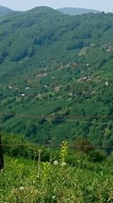 Düzce Samandere Köyü Resimleri 3