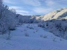 Düzce Samandere Köyü Resimleri 4