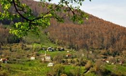 Düzce Samandere Köyü Resimleri 5