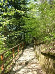 Düzce Samandere Köyü Resimleri 6