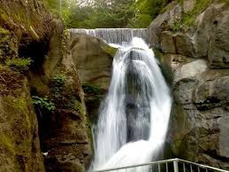 Düzce Samandere Köyü Resimleri 7