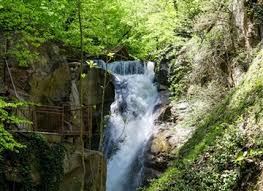 Düzce Samandere Köyü Resimleri 9