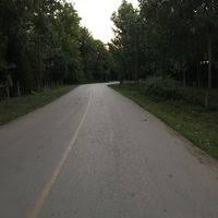 Düzce Sinirci Köyü Resimleri 1