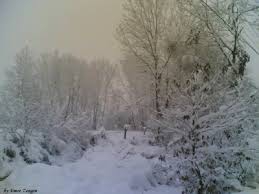 Düzce Sinirci Köyü Resimleri 3