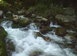 Düzce Sinirci Köyü Resimleri 6