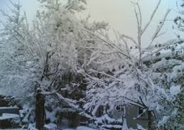 Düzce Sinirci Köyü Resimleri 7