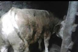 Düzce Soğukpınar Köyü Resimleri 6