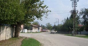 Düzce Şaziye Köyü Resimleri 1