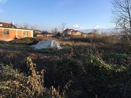 Düzce Şaziye Köyü Resimleri 10