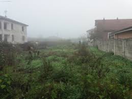 Düzce Şaziye Köyü Resimleri 4