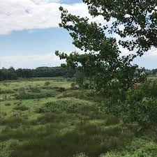 Düzce Şaziye Köyü Resimleri 9