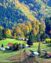 Düzce Yayla Köyü Resimleri 3