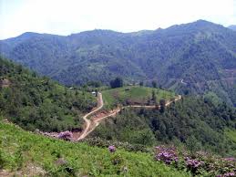 Düzce Yayla Köyü Resimleri 6
