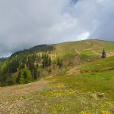 Düzce Yeniaynalı Köyü Resimleri 3