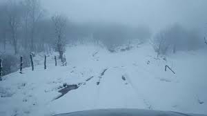 Düzce Yeniaynalı Köyü Resimleri 6