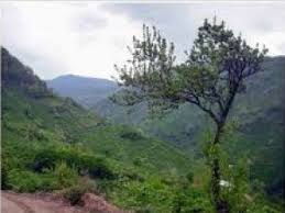 Düzce Yeniaynalı Köyü Resimleri 8