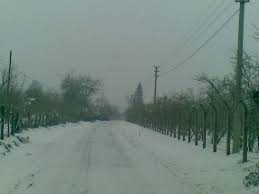 Düzce Yeşilçam Köyü Resimleri 2