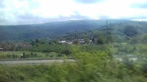 Düzce Yeşilçam Köyü Resimleri 3