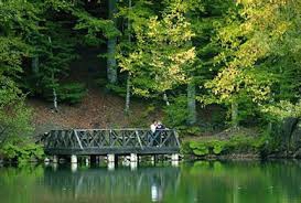 Düzce Yörük Köyü Resimleri 1