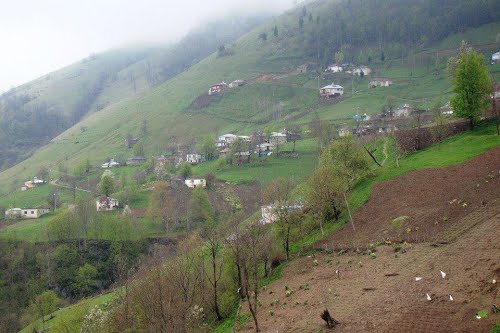 Maçka Yüzüncüyıl Köyü Resimleri 11