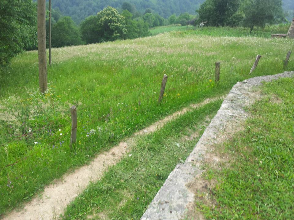 Maçka Yüzüncüyıl Köyü Resimleri 14