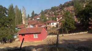 Alpu Arıkaya Köyü Resimleri 8