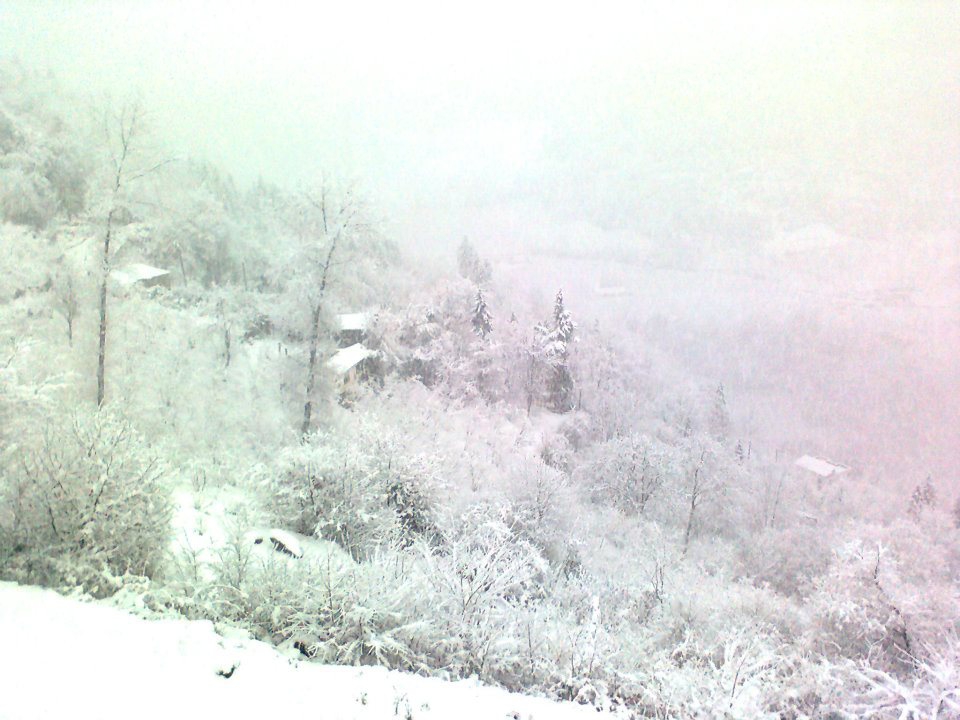 Maçka Zaferli Köyü Resimleri 12