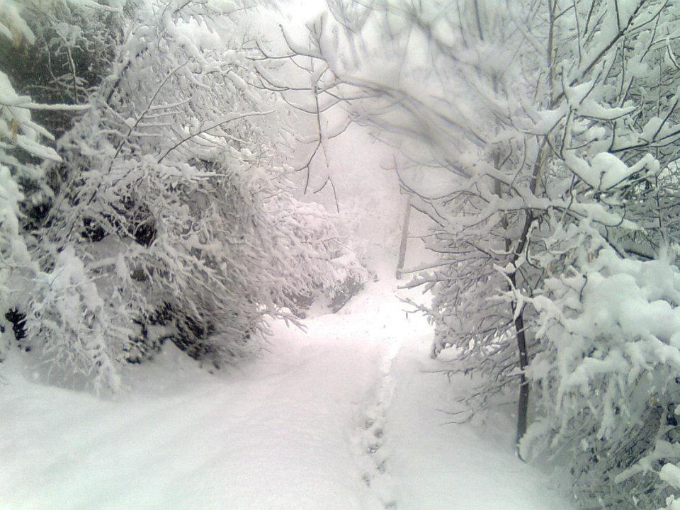 Maçka Zaferli Köyü Resimleri 13