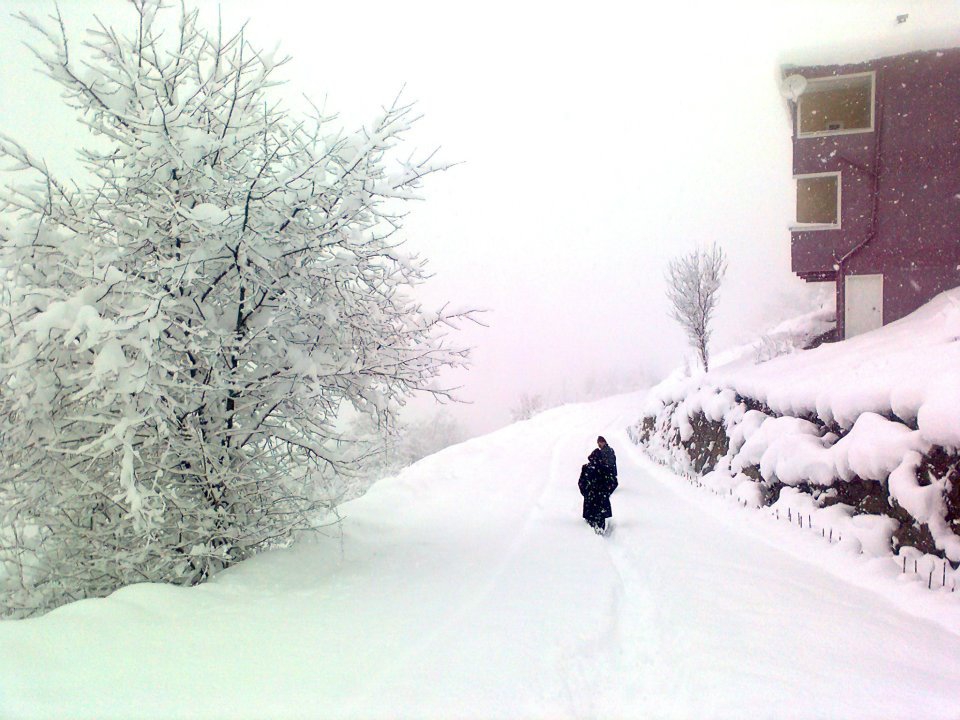 Maçka Zaferli Köyü Resimleri 15