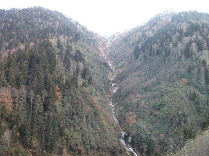 Maçka Zaferli Köyü Resimleri 16