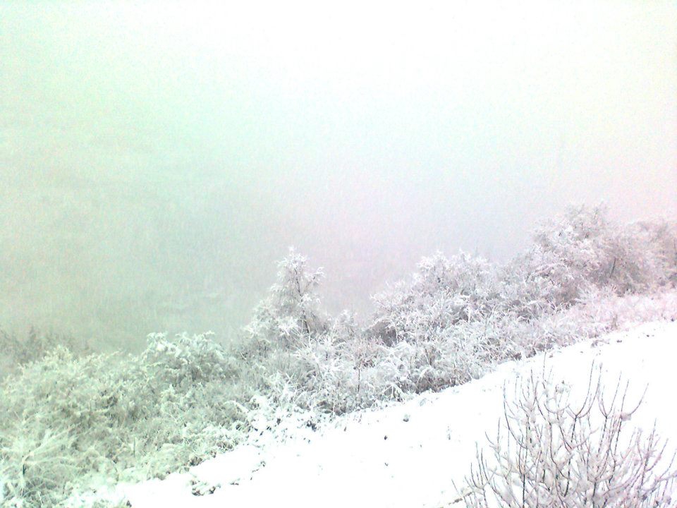 Maçka Zaferli Köyü Resimleri 18