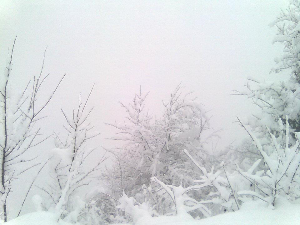 Maçka Zaferli Köyü Resimleri 20