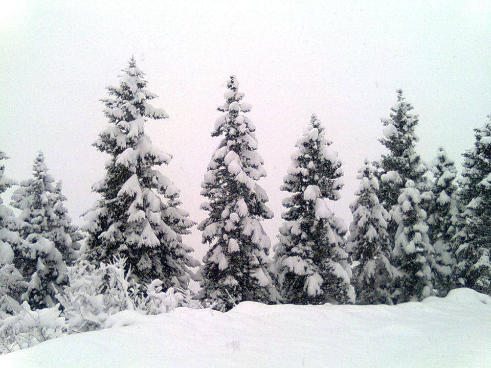Maçka Zaferli Köyü Resimleri 21