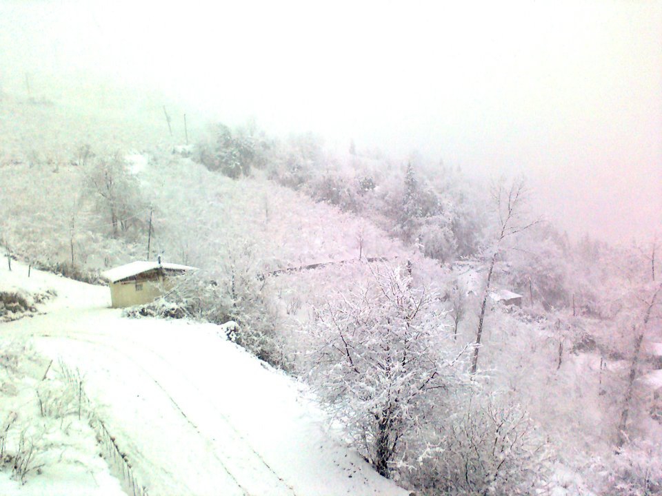 Maçka Zaferli Köyü Resimleri 22