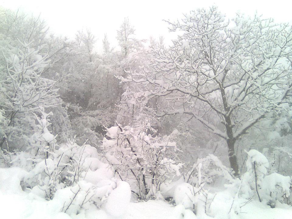 Maçka Zaferli Köyü Resimleri 25