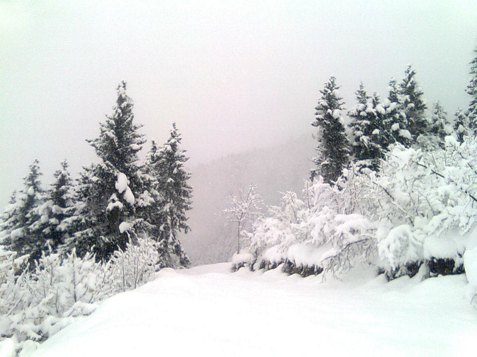 Maçka Zaferli Köyü Resimleri 26