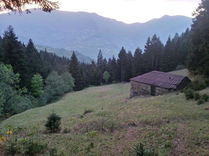 Maçka Zaferli Köyü Resimleri 3