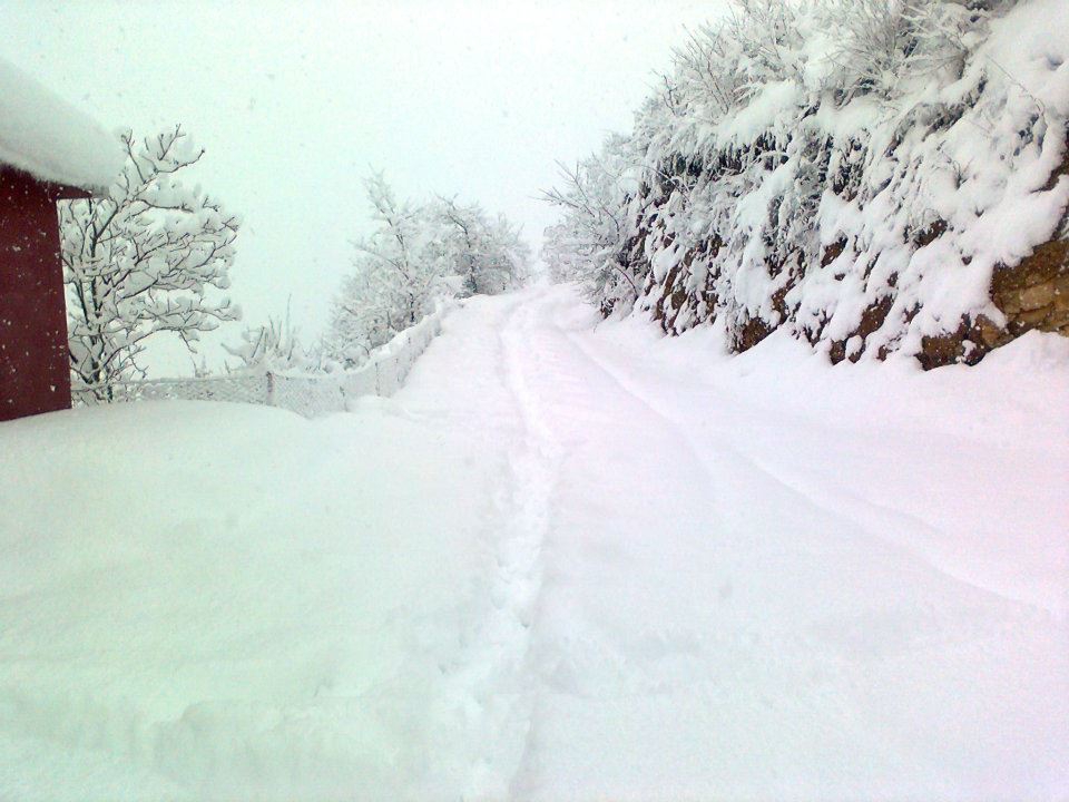 Maçka Zaferli Köyü Resimleri 31