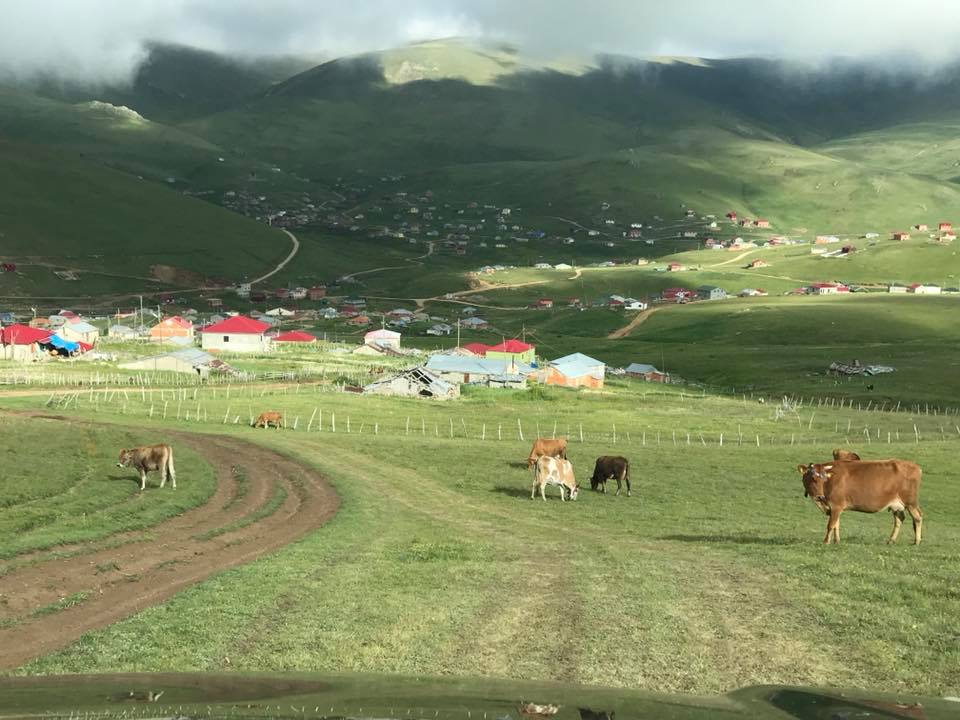 Maçka Zaferli Köyü Resimleri 32