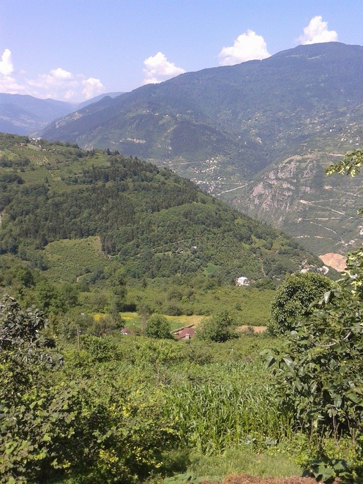 Maçka Zaferli Köyü Resimleri 34