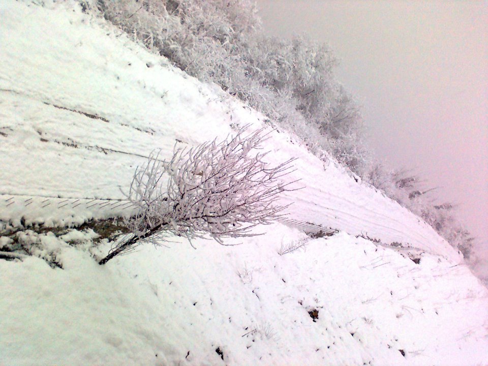 Maçka Zaferli Köyü Resimleri 36