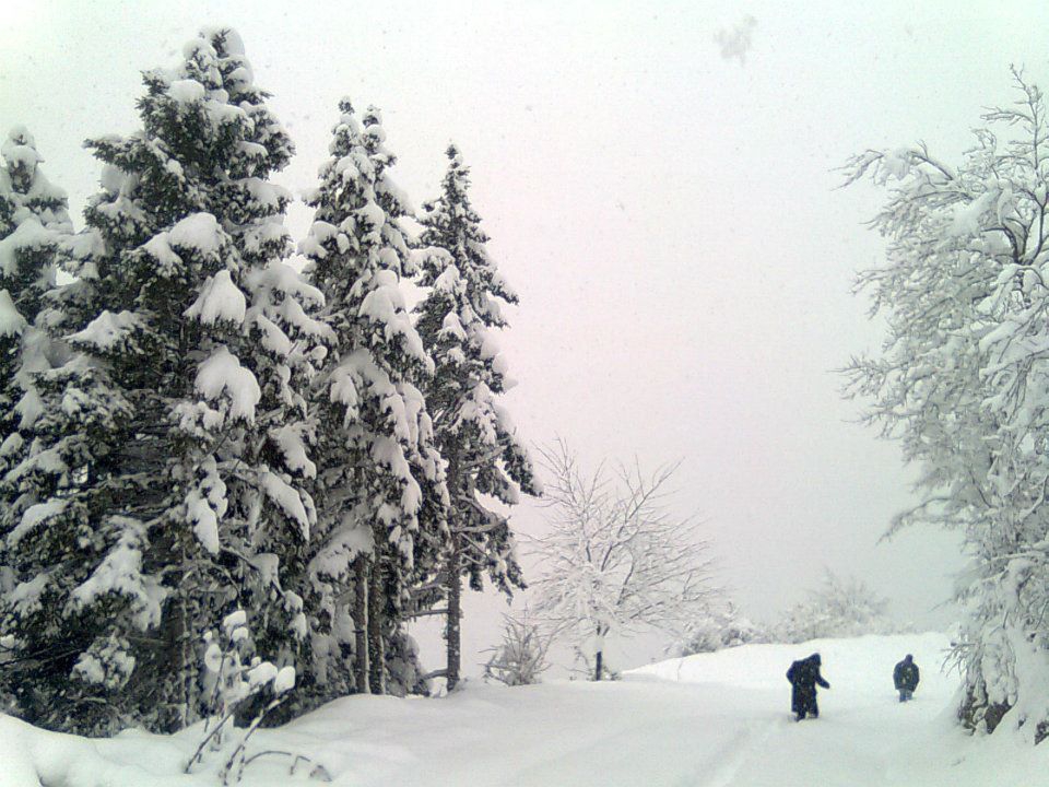 Maçka Zaferli Köyü Resimleri 37