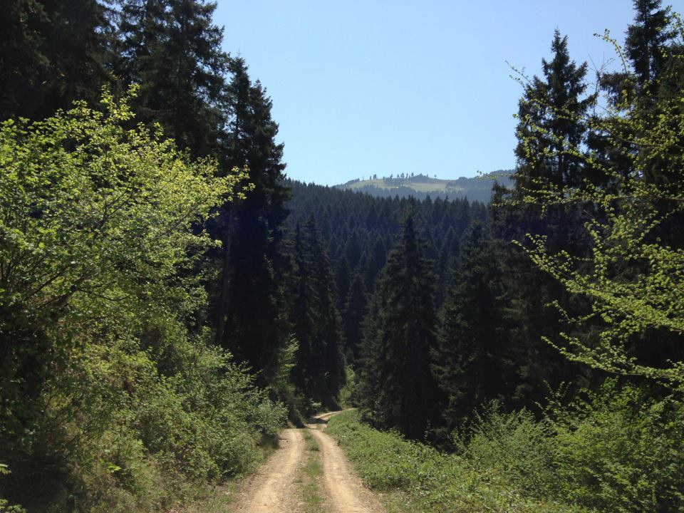 Maçka Zaferli Köyü Resimleri 38